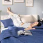 Bộ chăn chần, vỏ gối Microfiber mềm mại, kháng khuẩn Amando Luna 3 chi tiết - Ảnh thumb 1