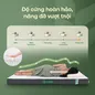 Nệm cao su thiên nhiên Gummi Premium detox giấc ngủ - Ảnh thumb 7