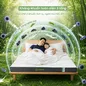 Nệm cao su thiên nhiên Gummi Premium detox giấc ngủ - Ảnh thumb 13