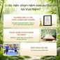Nệm cao su thiên nhiên Gummi Premium detox giấc ngủ - Ảnh thumb 15