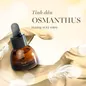 Tinh dầu Sasana Osmanthus - Ảnh thumb 1