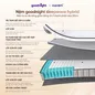 Nệm lò xo Goodnight SleepWave Hybrid (Sleep Wave 4.0) giảm tiếng ồn dày 20cm - Ảnh thumb 13