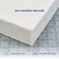 Nệm bông ép Wonjun Pure & Fresh dày 5/9cm gấp 3 - Ảnh thumb 12