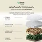 Bộ ga phủ + chăn chần Amando Wellness Tencel Luxe - Ảnh thumb 1