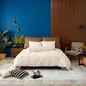 Bộ Ga chun Amando Comfort Cotton Select - Ảnh thumb 3