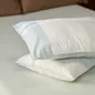 Vỏ gối Amando Comfort Cotton Select - Ảnh thumb 19