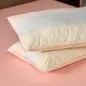 Vỏ gối Amando Comfort Cotton Select - Ảnh thumb 6