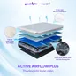 (Phiên bản 2026 - Gấp 3 Kikoo) Nệm foam Mát Lạnh Goodnight Active Hybrid - thumb