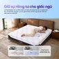 (Phiên bản Pro 2026 - x3 Kikoo) Nệm foam Goodnight Active Hybrid làm mát - thumb