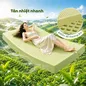 Nệm Gummi Signature – Công nghệ kép, nâng đỡ vượt trội, kháng khuẩn tối đa - Ảnh thumb 5
