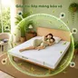 Nệm Gummi Signature – Công nghệ kép, nâng đỡ vượt trội, kháng khuẩn tối đa - Ảnh thumb 7