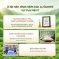 Nệm Gummi Signature – Công nghệ kép, nâng đỡ vượt trội, kháng khuẩn tối đa - Ảnh thumb 9