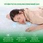 Nệm Gummi Signature – Công nghệ kép, nâng đỡ vượt trội, kháng khuẩn tối đa - Ảnh thumb 6