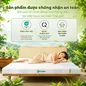 Nệm Gummi Signature – Công nghệ kép, nâng đỡ vượt trội, kháng khuẩn tối đa - Ảnh thumb 8