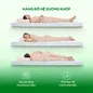Nệm Gummi Signature – Công nghệ kép, nâng đỡ vượt trội, kháng khuẩn tối đa - Ảnh thumb 7
