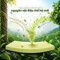 Nệm Gummi Signature – Công nghệ kép, nâng đỡ vượt trội, kháng khuẩn tối đa - Ảnh thumb 3