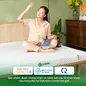 Nệm Gummi Signature – Công nghệ kép, nâng đỡ vượt trội, kháng khuẩn tối đa - Ảnh thumb 19