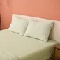 Bộ ga chun Amando Essential Daily - Ảnh thumb 3