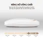 Gối bông Amando Kapok Premium - Ảnh thumb 1