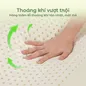 Gối cao su Gummi Ema giảm đau mỏi cổ vai gáy, thiết kế 2 đầu thích hợp cho cả nam và nữ, kích thước 40*60 - Ảnh thumb 3