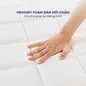 [SẢN PHẨM MỚI] Nệm lò xo Amando Elite Flip túi độc lập thiết kế 2 mặt linh hoạt dày 24cm - Ảnh thumb 10