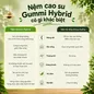 Nệm cao su Gummi Hybrid - công nghệ đa tầng, gấp 2 kháng khuẩn, siêu thoáng mát - Ảnh thumb 12