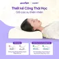 Gối cao su thiên nhiên công thái học Goodnight Tofu - Ảnh thumb 2