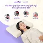 Gối cao su thiên nhiên công thái học Goodnight Tofu - Ảnh thumb 5