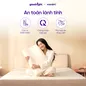Gối cao su thiên nhiên công thái học Goodnight Tofu - Ảnh thumb 9