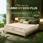 Nệm cao su cân bằng nhiệt 3in1 Gummi Hybrid Plus - thumb