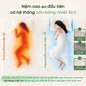 Nệm cao su cân bằng nhiệt 3in1 Gummi Hybrid Plus - thumb