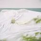 Chăn lụa băng Goodnight Snow Silk - Ảnh thumb 15