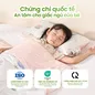 Bộ chăn gối thông hơi làm mát Nunu Petit Ice Bear - thumb