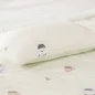 Gối bông Nunu Petit Ice Bear - Ảnh thumb 1