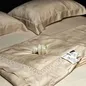 Bộ ga chun 5 chi tiết Liiesen Lụa Tencel Tơ Tằm Luxury - Ảnh thumb 2