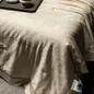 Bộ chăn ga Tencel Liiesen lụa tơ tằm - Ảnh thumb 6