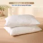 Gối Bông Amando Soft Basic - Ảnh thumb 18